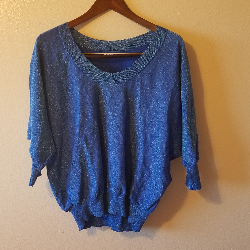 Express | shimmer sweater